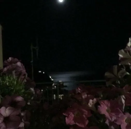 Palazzo Coco Sentiero Dei Limoni マイオーリ